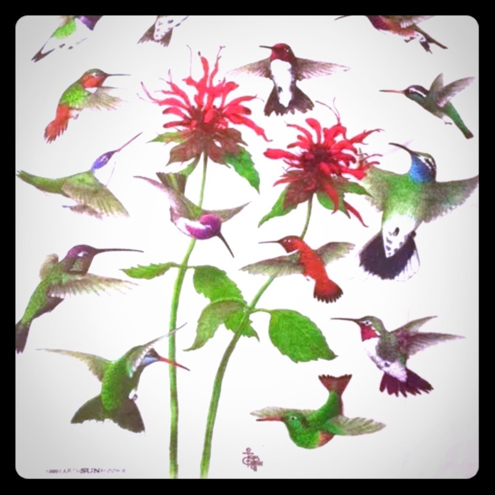 BIRDS LOVER T-SHIRT -- 100% Cotton Hummingbirds